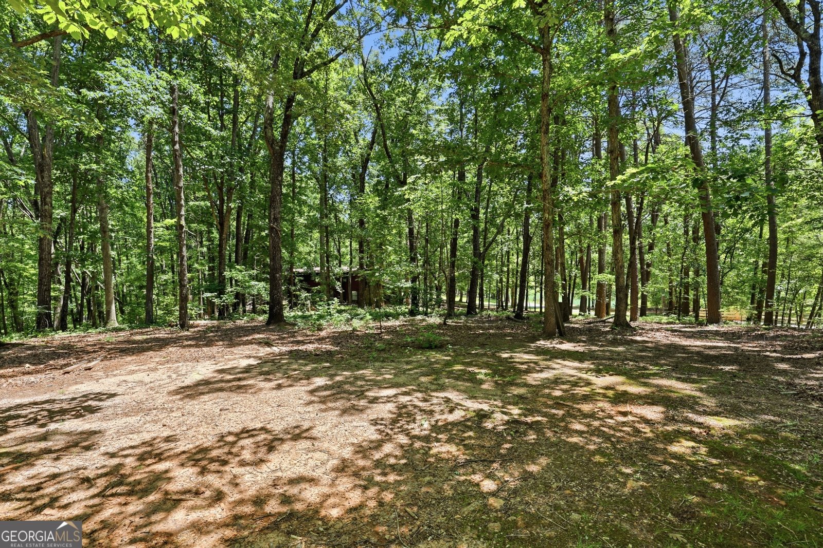 8721 Skitts Mountain Road Clermont - Photo 36