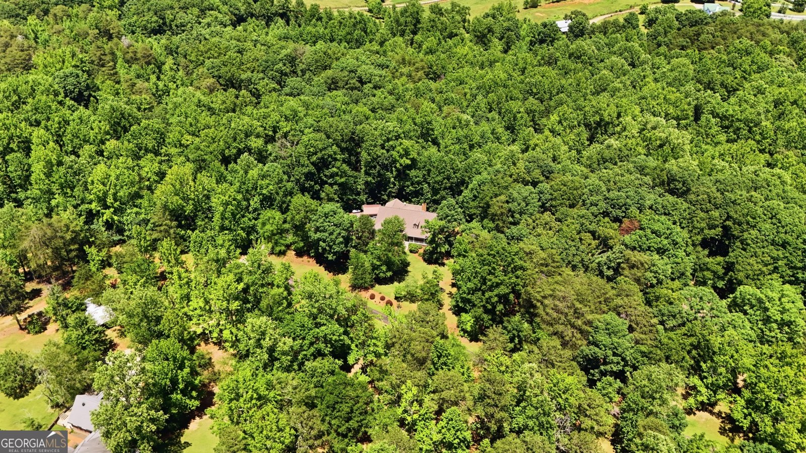 8721 Skitts Mountain Road Clermont - Photo 43