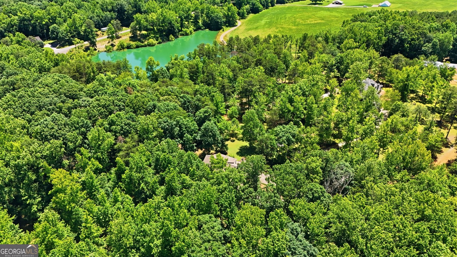 8721 Skitts Mountain Road Clermont - Photo 47