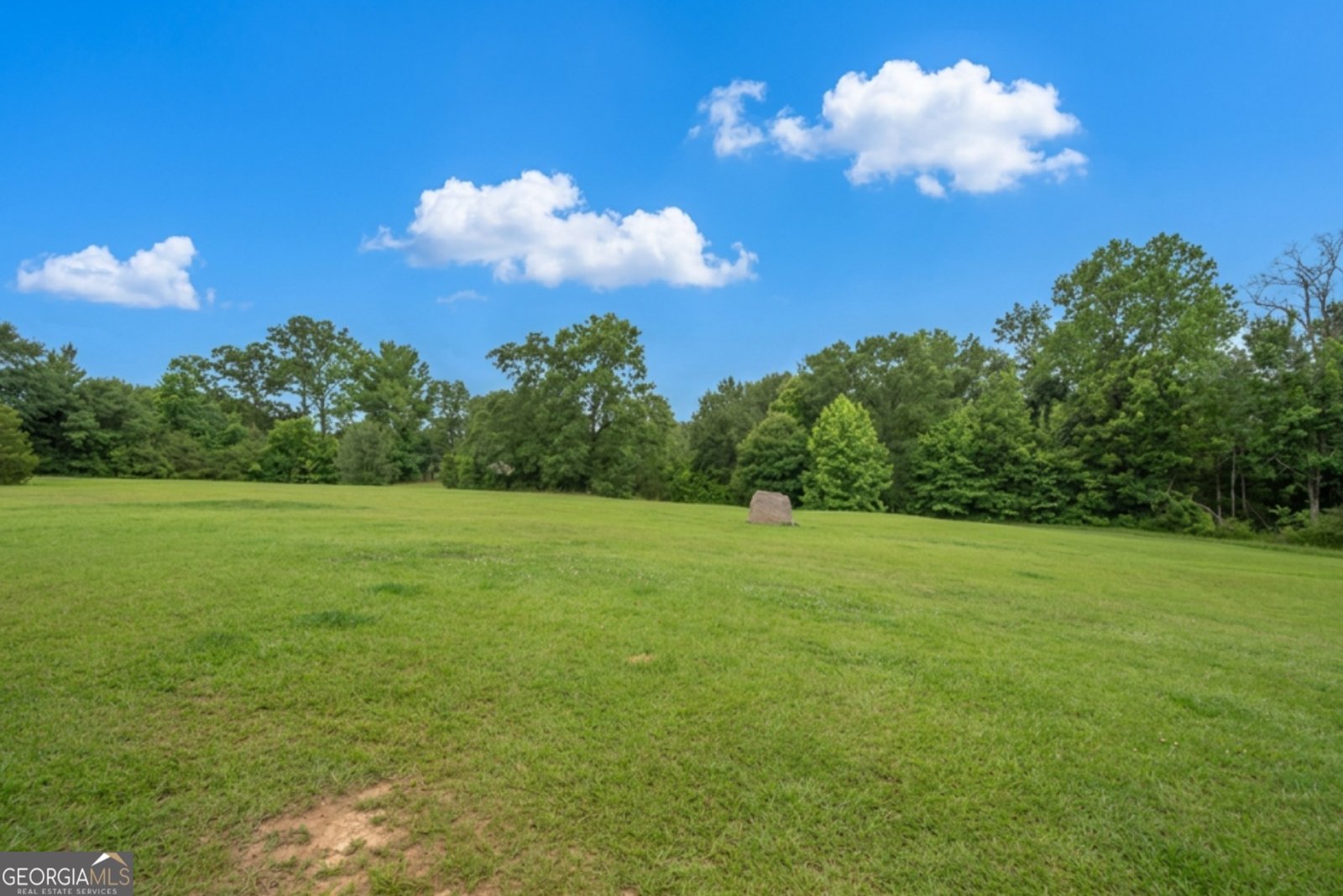 8739 Highway 109 Zebulon - Photo 42