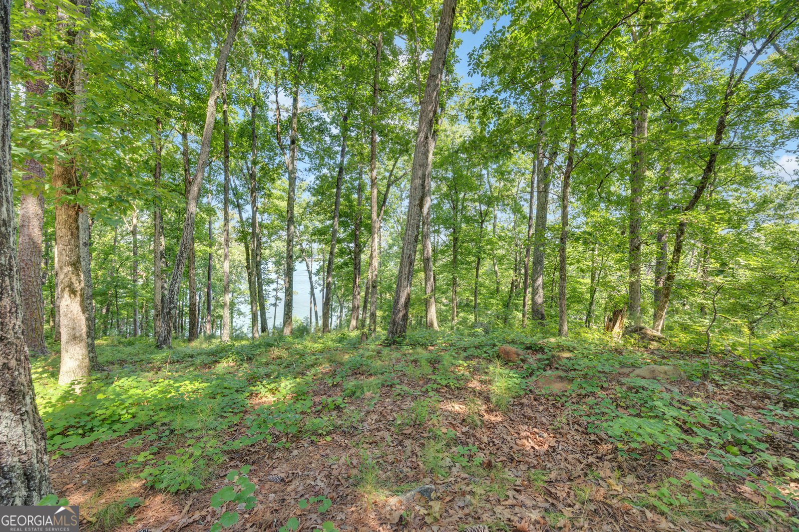 177 Night Hawk Court Monticello - Photo 45