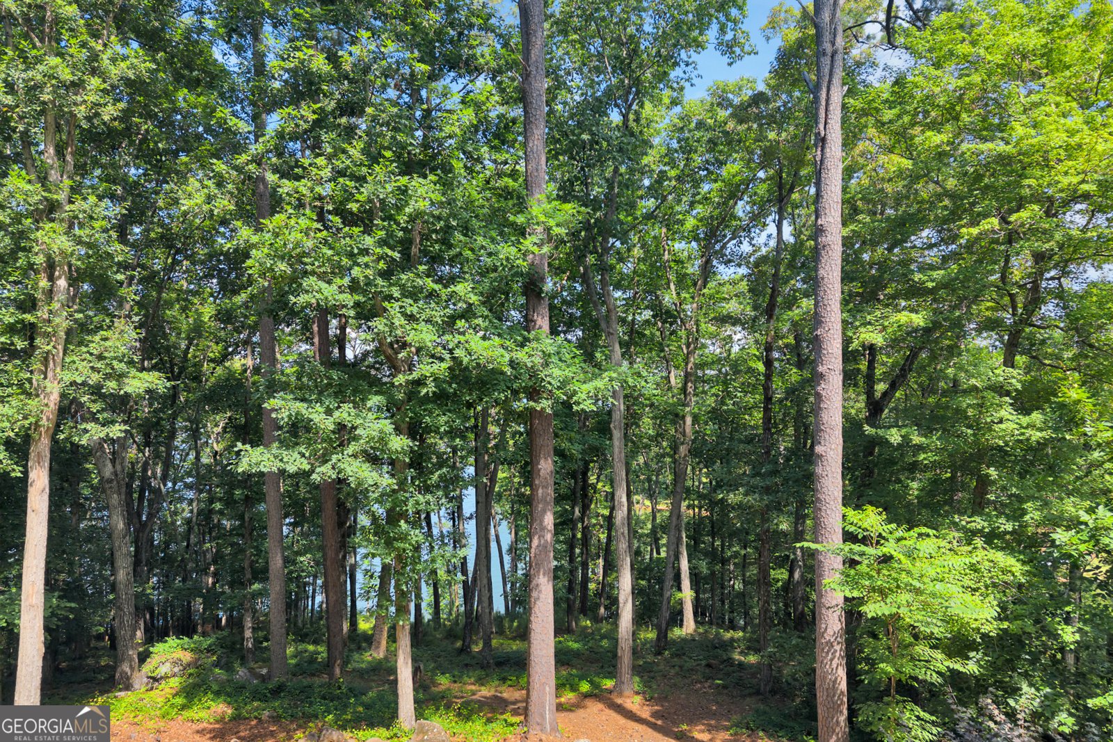 177 Night Hawk Court Monticello - Photo 57