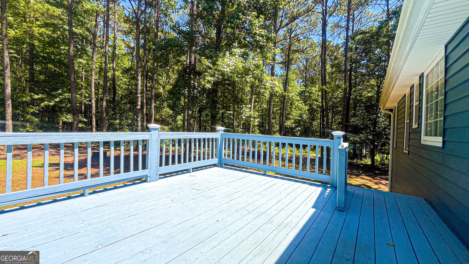 235 Steeplechase Drive McDonough - Photo 47