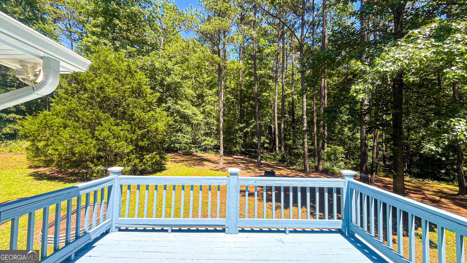 235 Steeplechase Drive McDonough - Photo 49