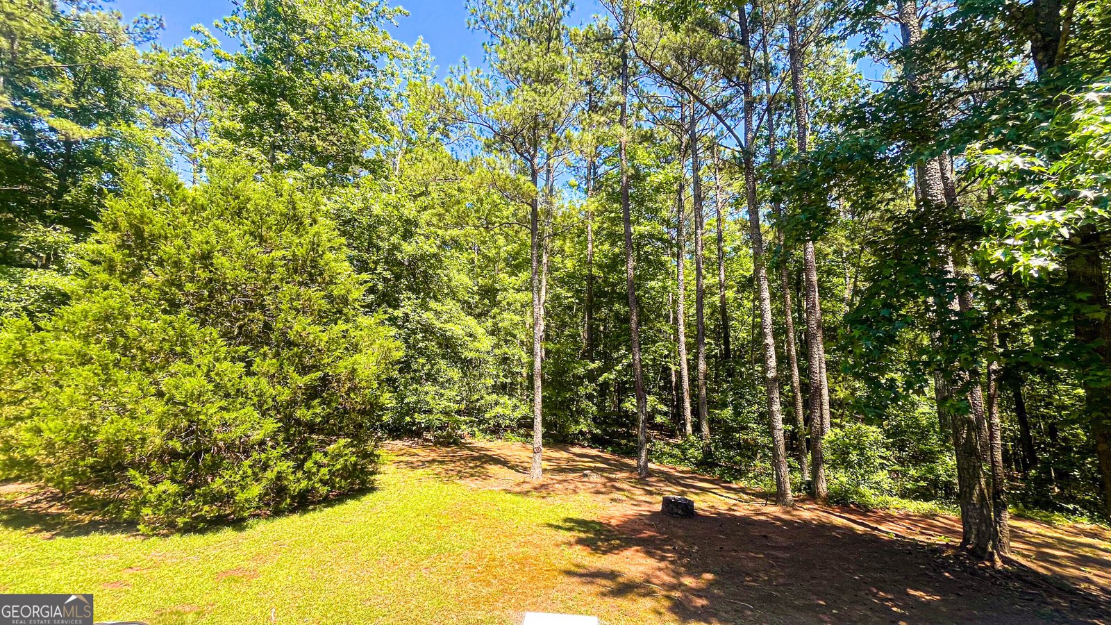235 Steeplechase Drive McDonough - Photo 52