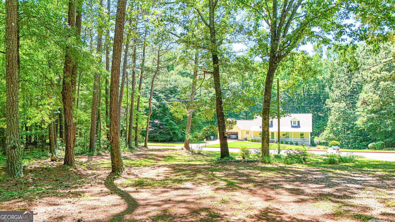 235 Steeplechase Drive McDonough - Photo 55