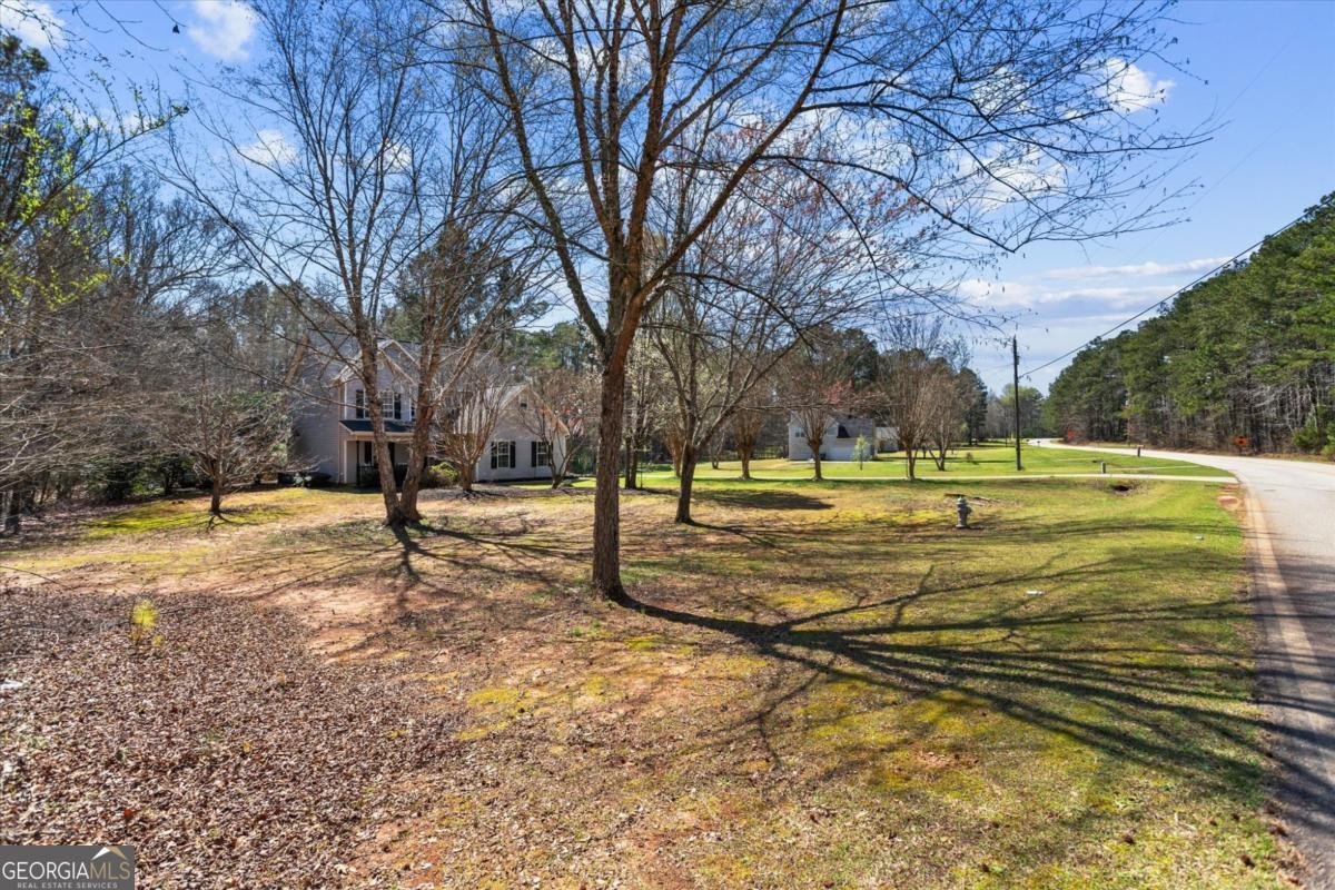 90 Stallsworth Road Mcdonough - Photo 61