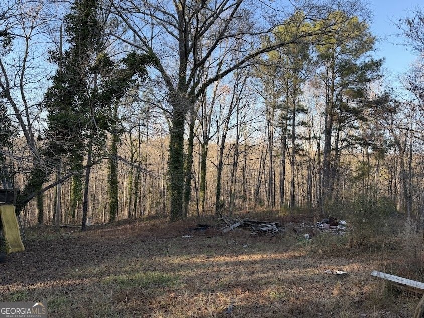 710 Armstrong Mill Road Franklin - Photo 18