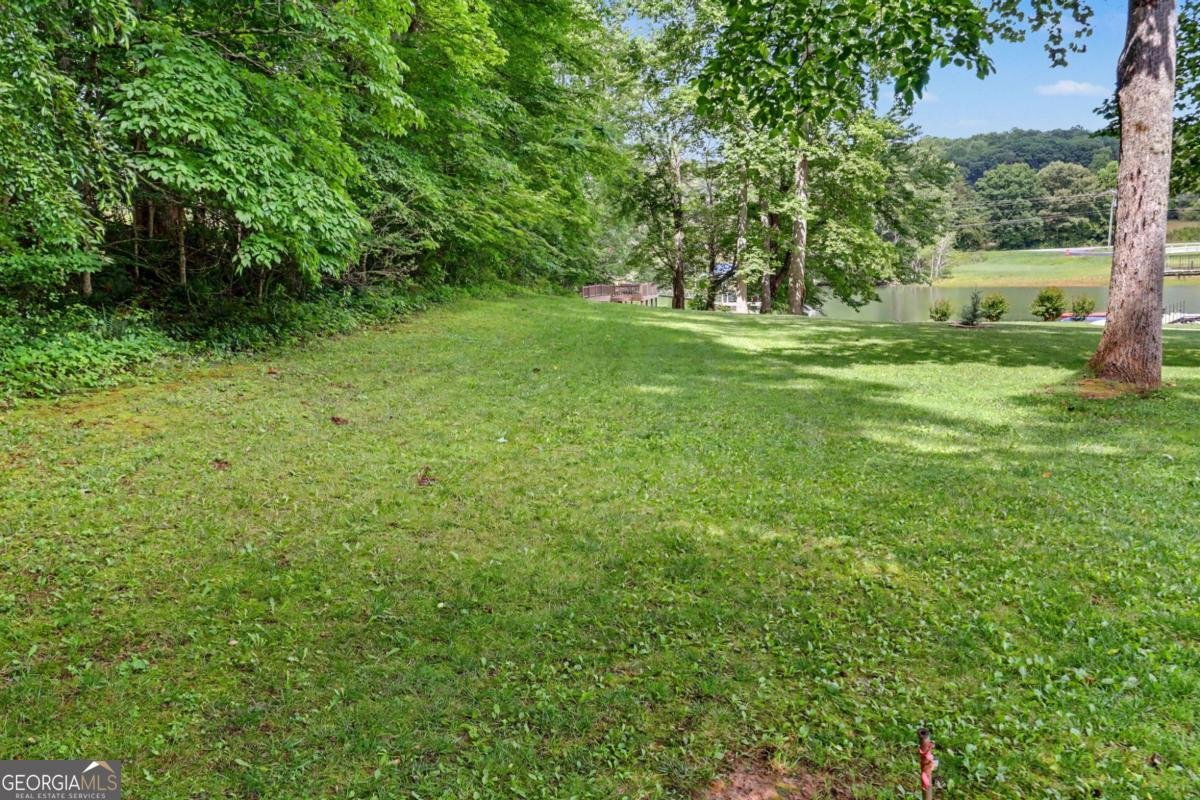 2255 Thunder Oak Road Young Harris - Photo 77