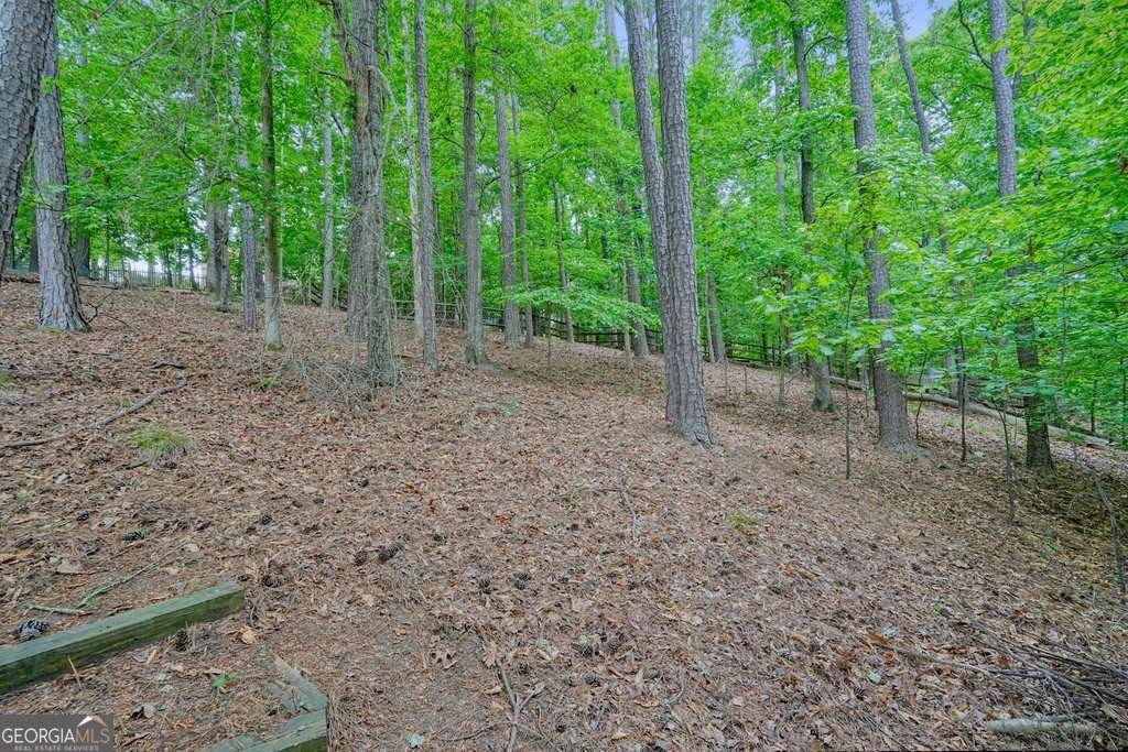 8033 Ridge Valley Woodstock - Photo 51