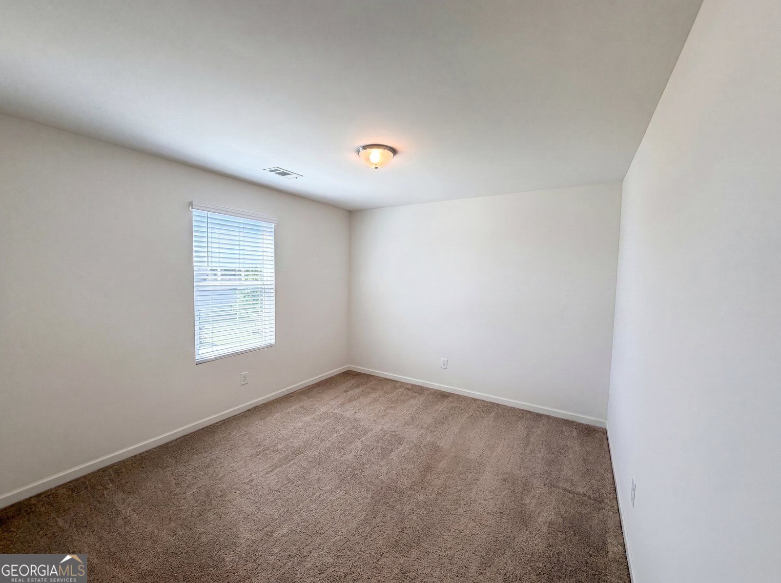183 Alexander Lane Bethlehem - Photo 11