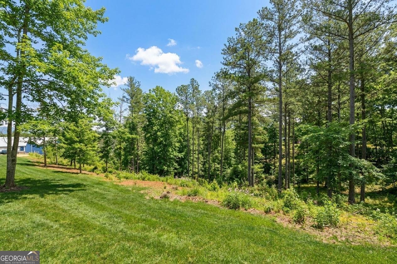 30 Station Gap Dahlonega - Photo 47