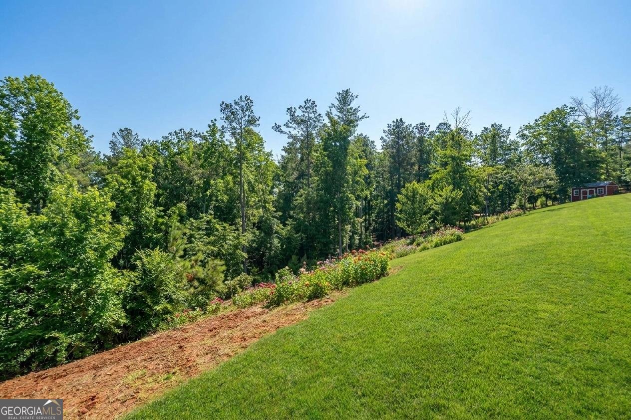 30 Station Gap Dahlonega - Photo 48