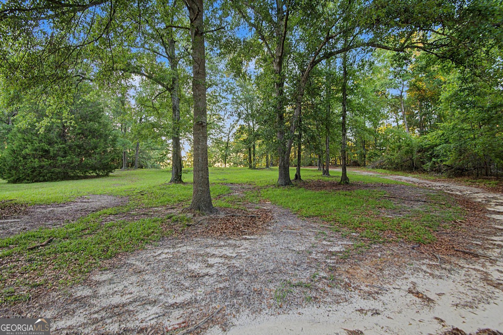 1376 Green Fork Church Road Millen - Photo 24