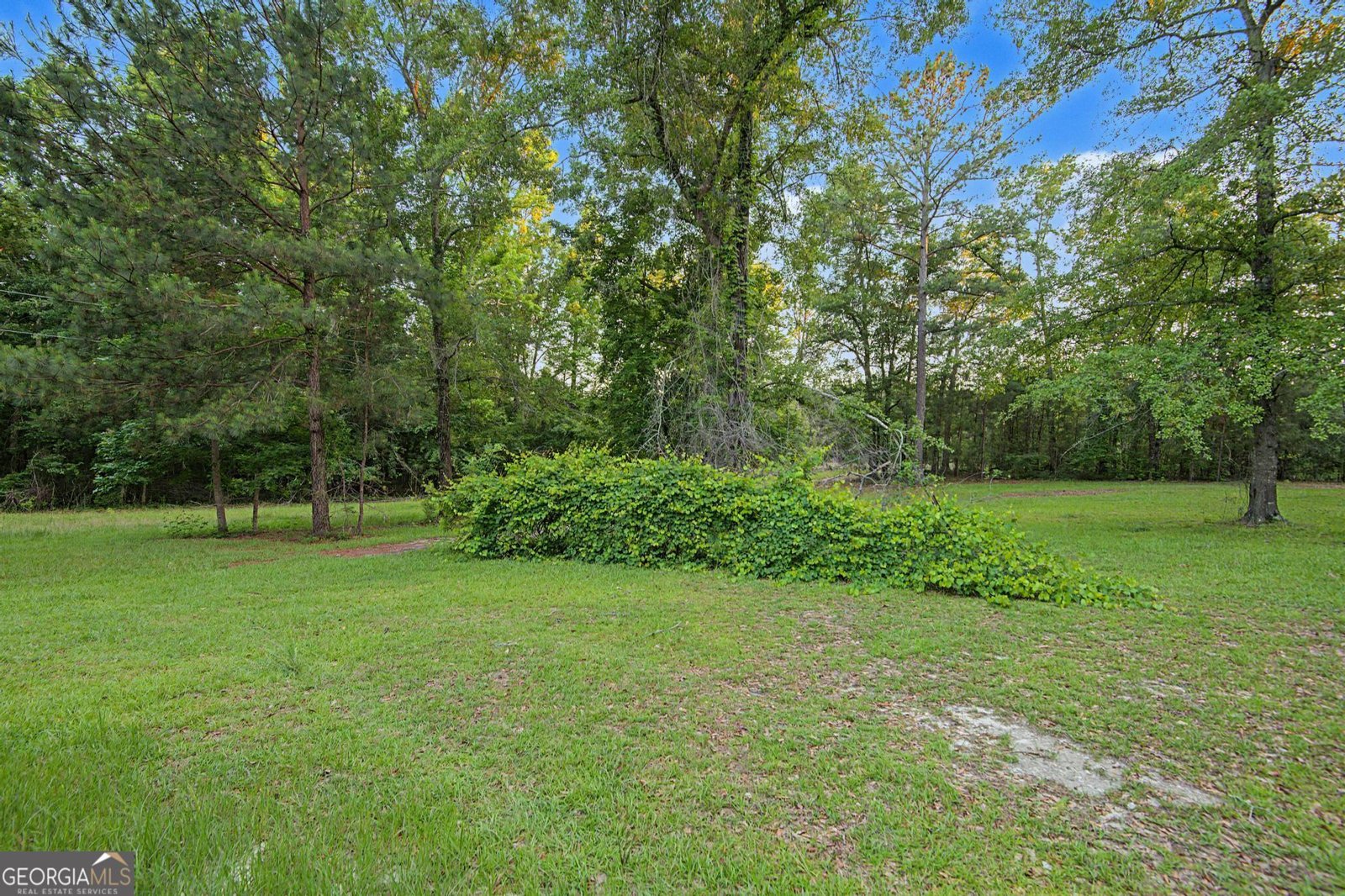 1376 Green Fork Church Road Millen - Photo 34