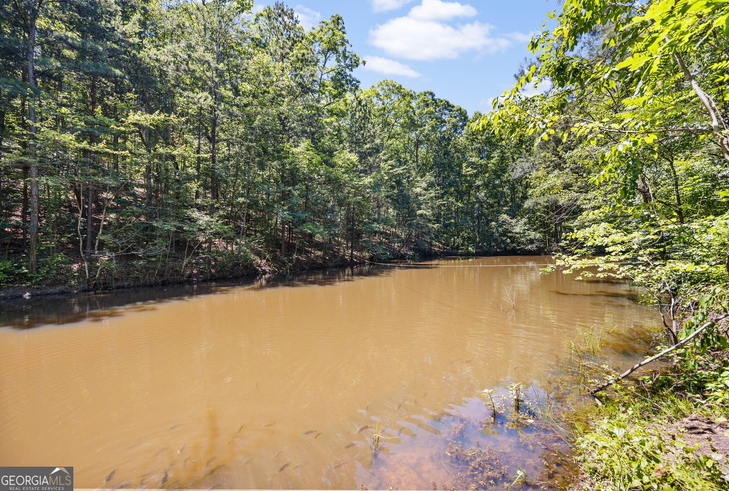 1575 Davis Road Fairmount - Photo 35