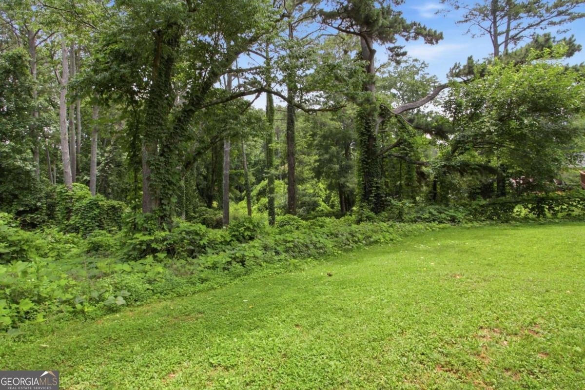 4326 Aldergate Drive Decatur - Photo 28