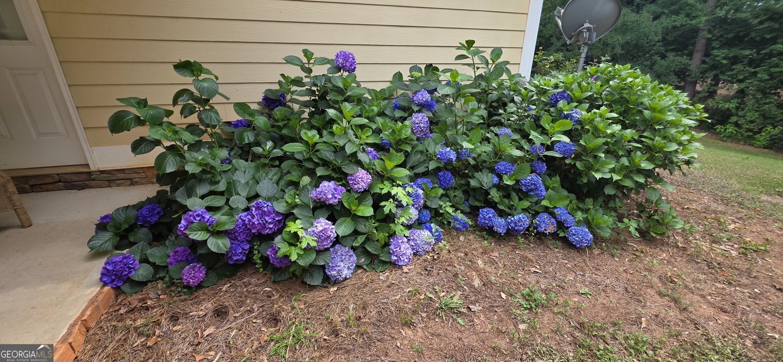 304 Pembroke Court McDonough - Photo 9