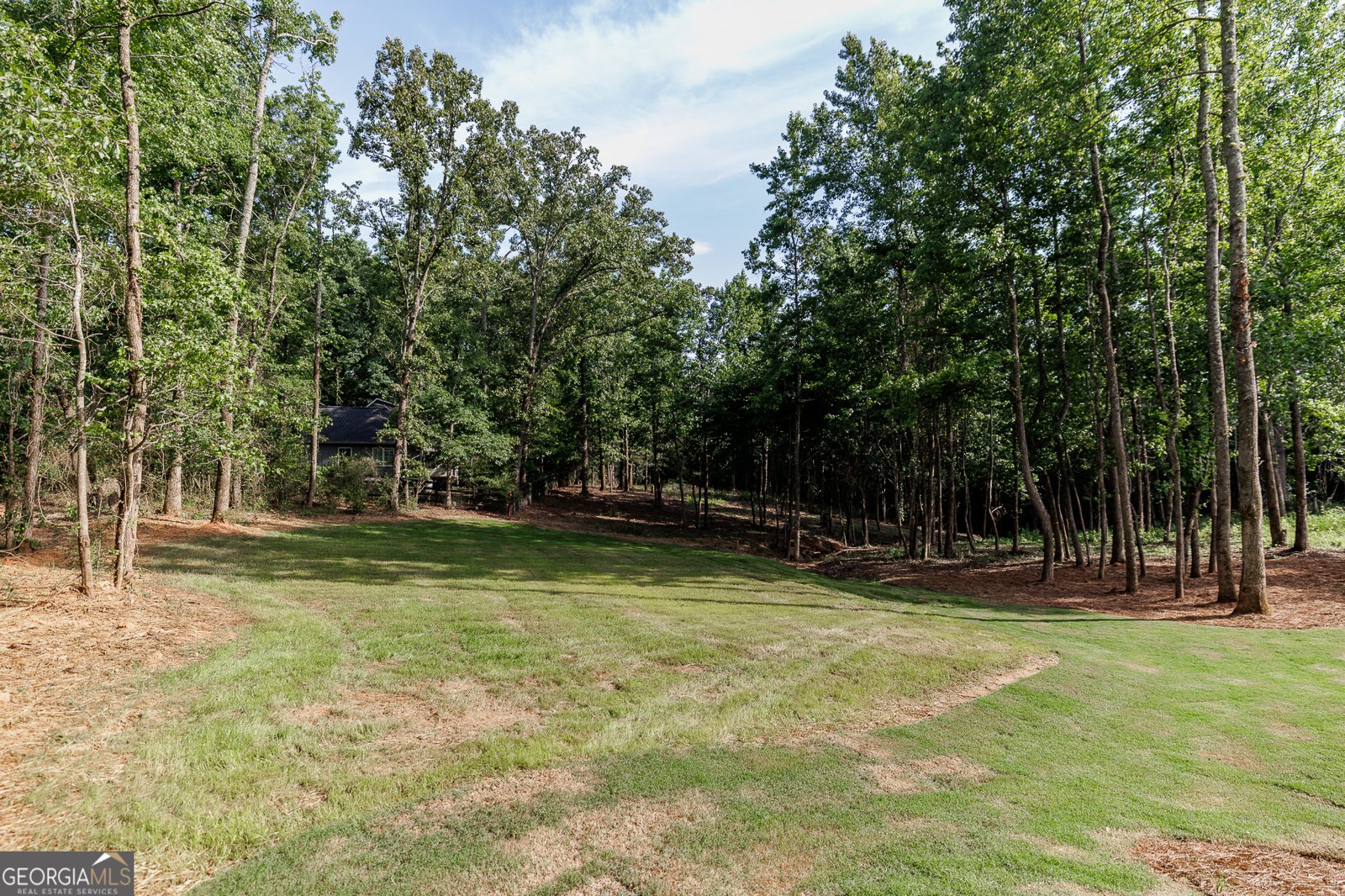2653 Malcom Estates Ridge Bogart - Photo 67