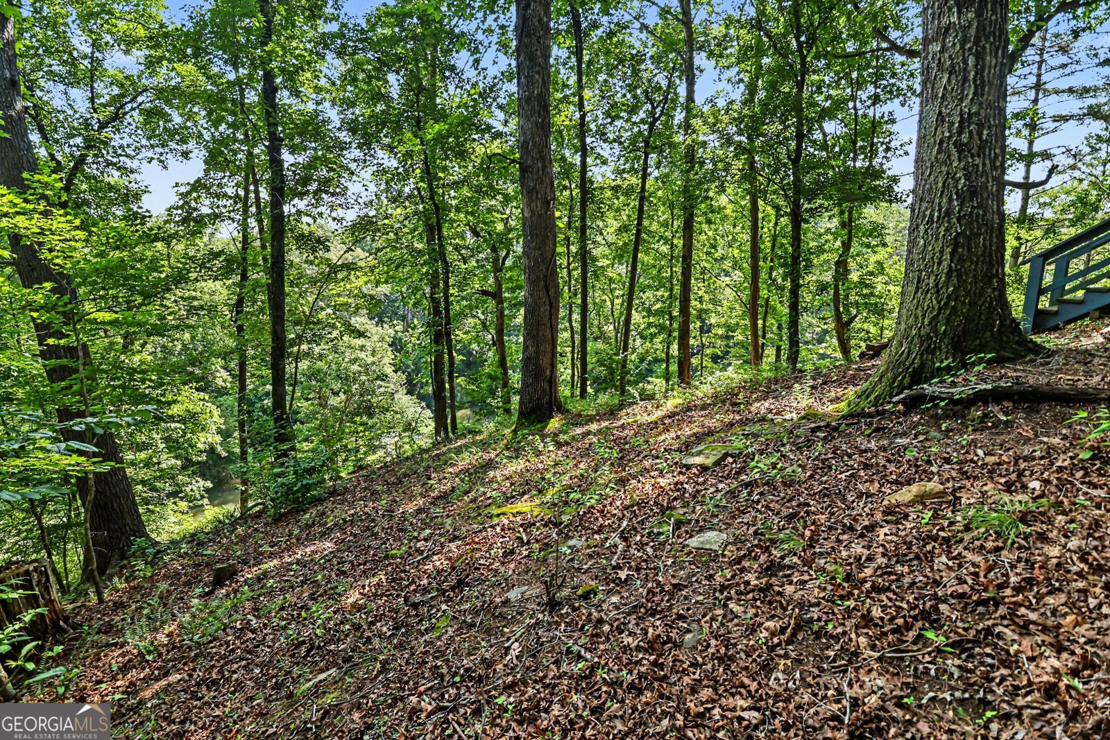 1008 River Estates Road Cleveland - Photo 31