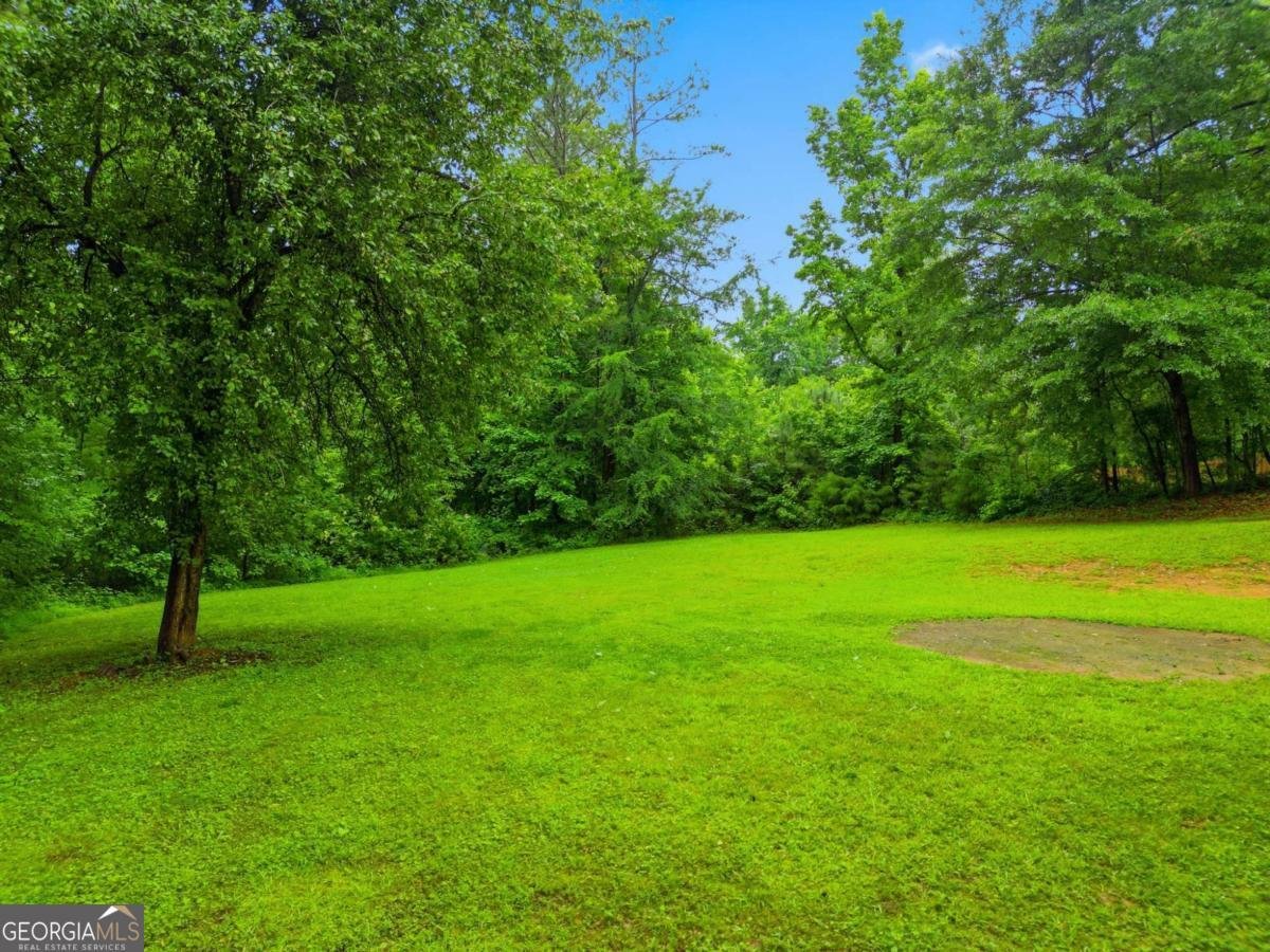 5448 Hiram Lithia Springs Road Powder Springs - Photo 41