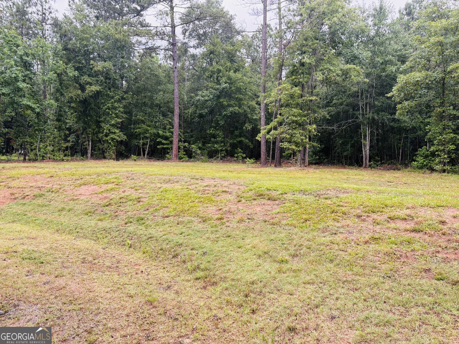 196 Chapman Road Macon - Photo 6