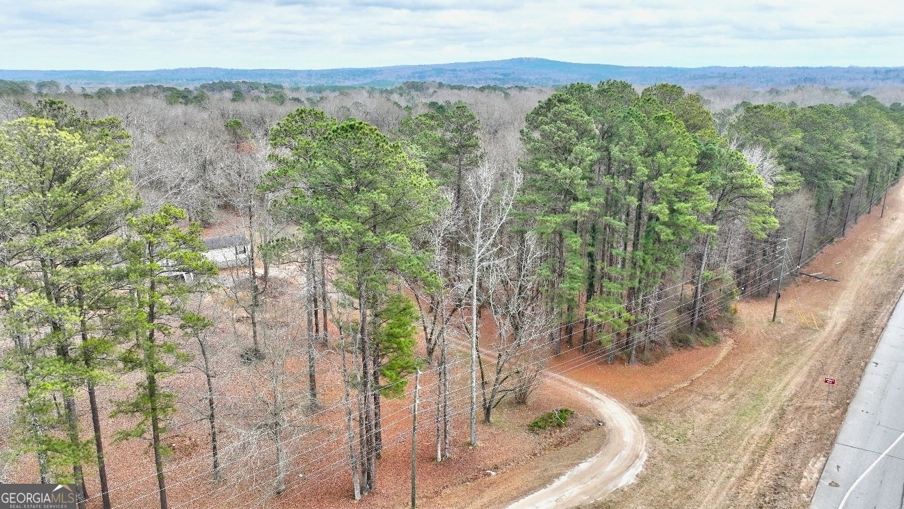 103 Silver Dollar Road Barnesville - Photo 6