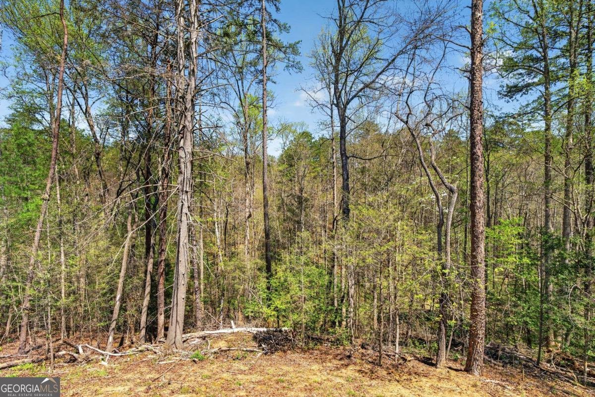 54 Barbs Way Mineral Bluff - Photo 29