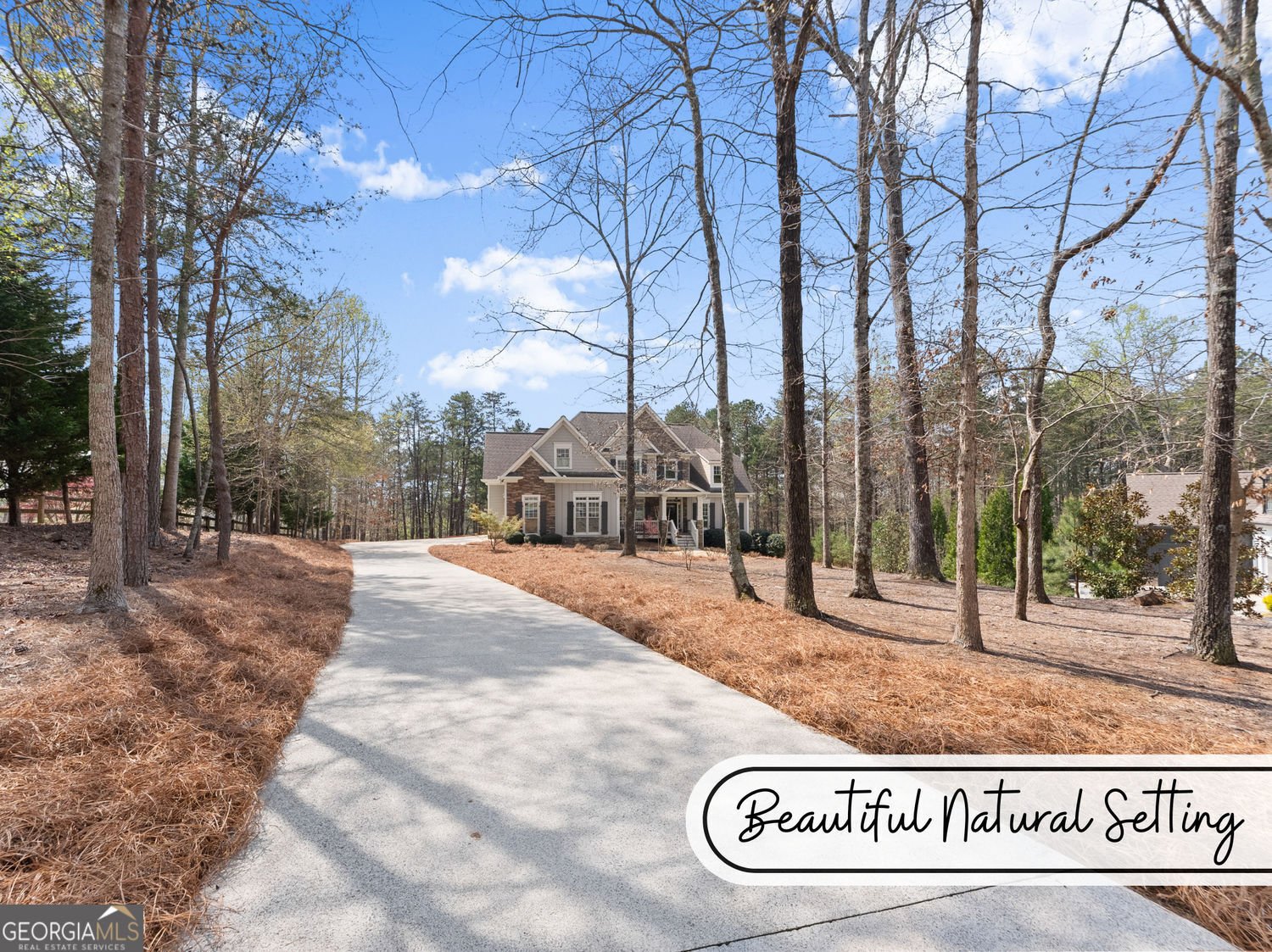 267 Chestnut Oak Lane Dawsonville - Photo 41