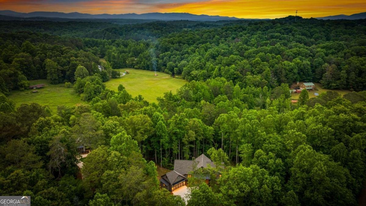 298 Lower Creek Trail Ellijay - Photo 25
