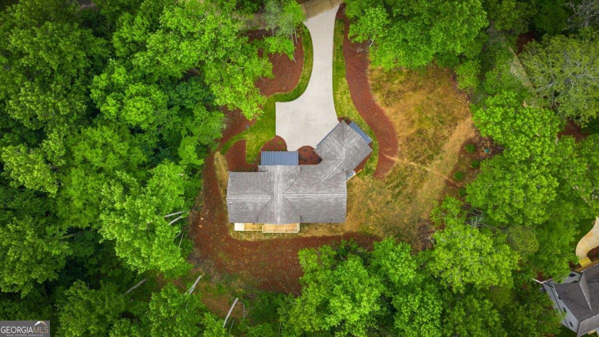 298 Lower Creek Trail Ellijay - Photo 81