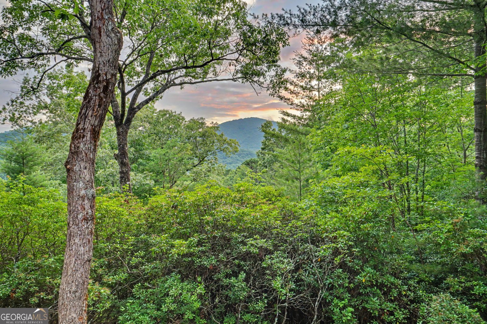 69 Durango Lane Clayton - Photo 116