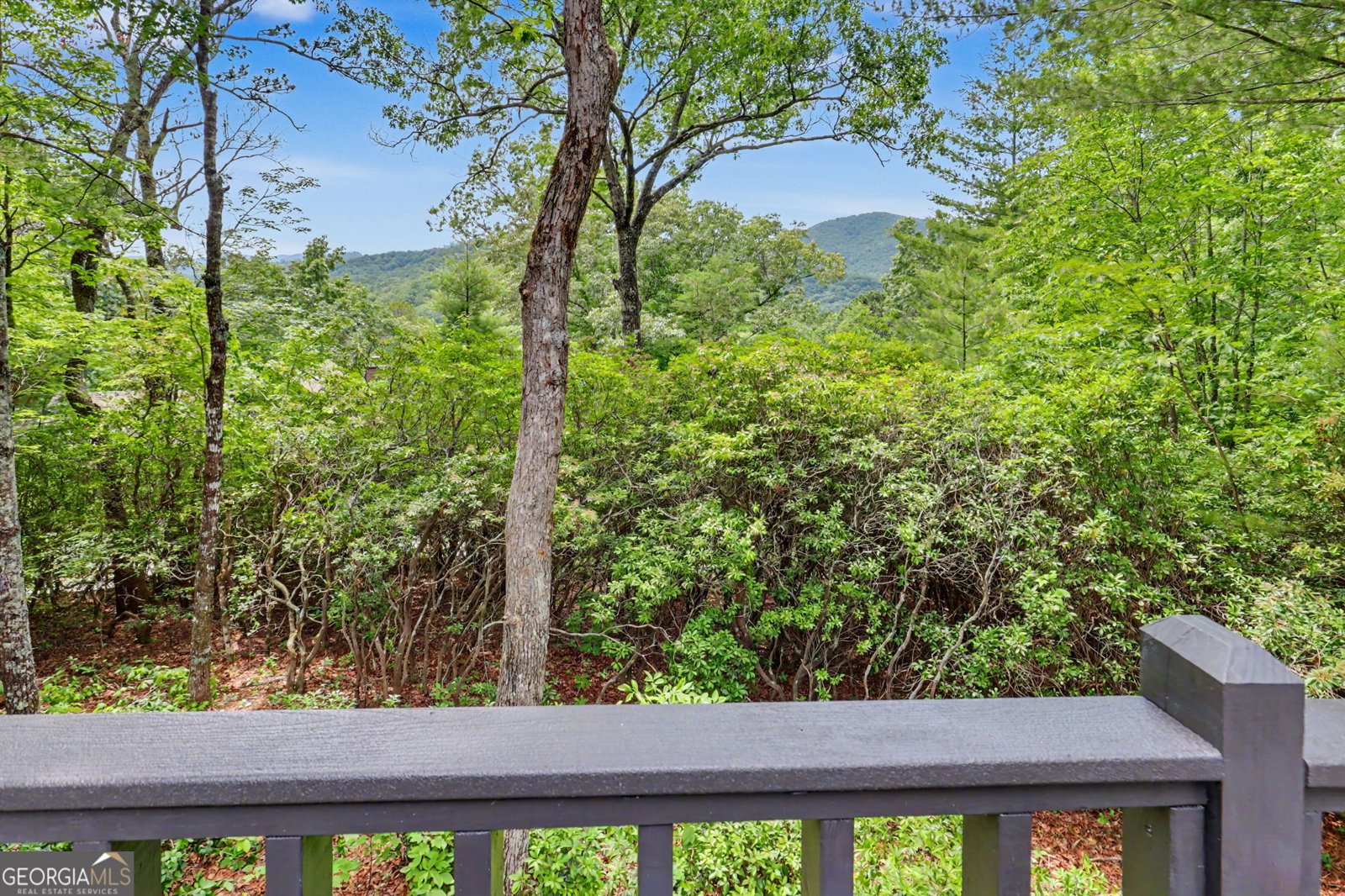 69 Durango Lane Clayton - Photo 39