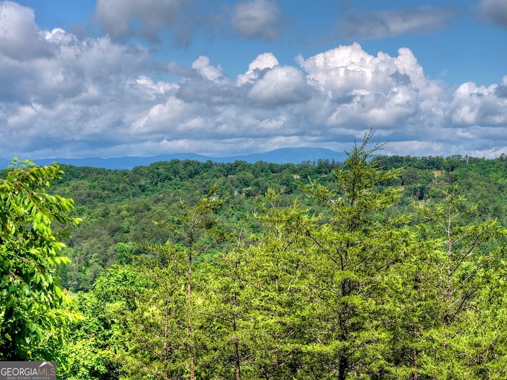 309 Katydid Road Mineral Bluff - Photo 31