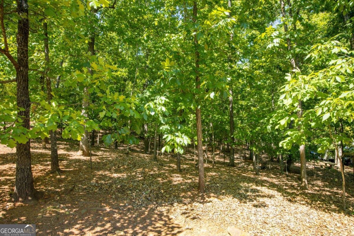 407 Ward Farm Drive Powder Springs - Photo 51