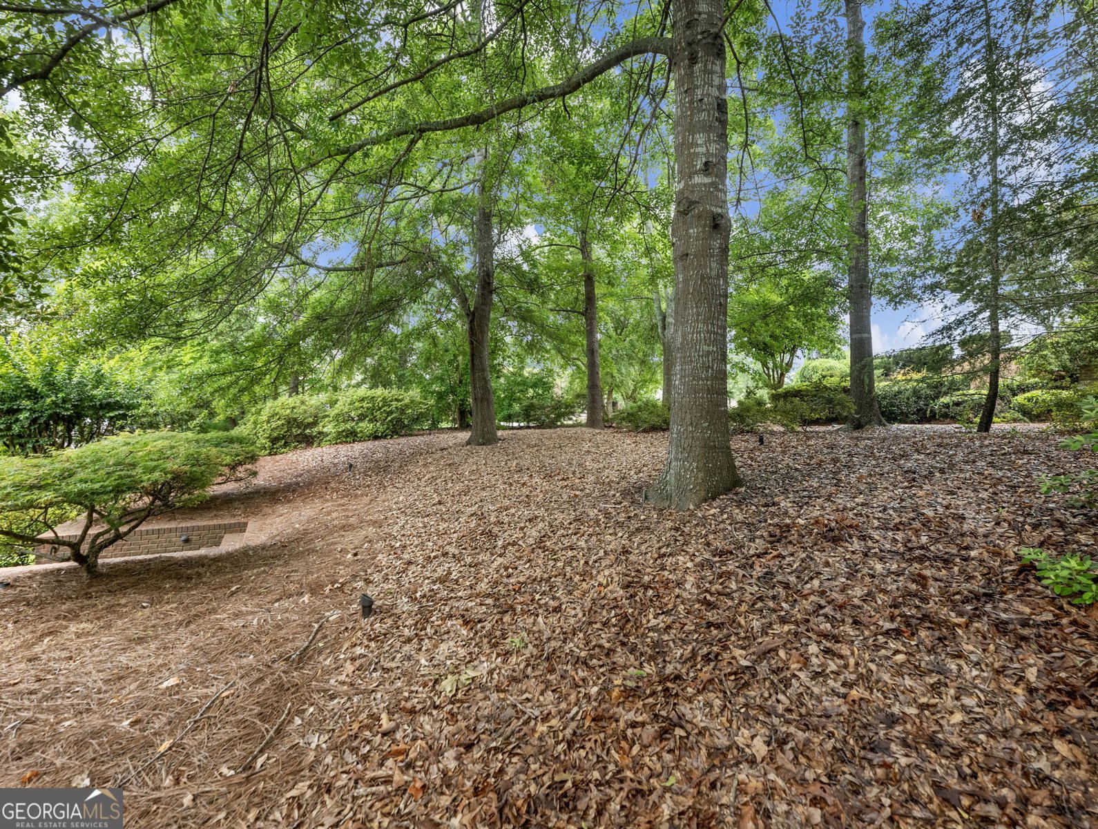 2352 Crimson King Drive Braselton - Photo 50