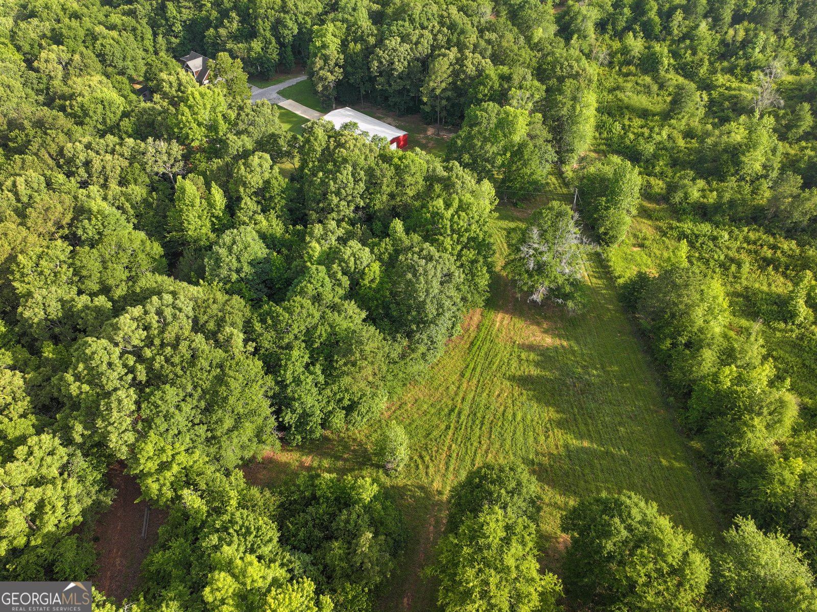 850 Bethel Church Road Silver Creek - Photo 10