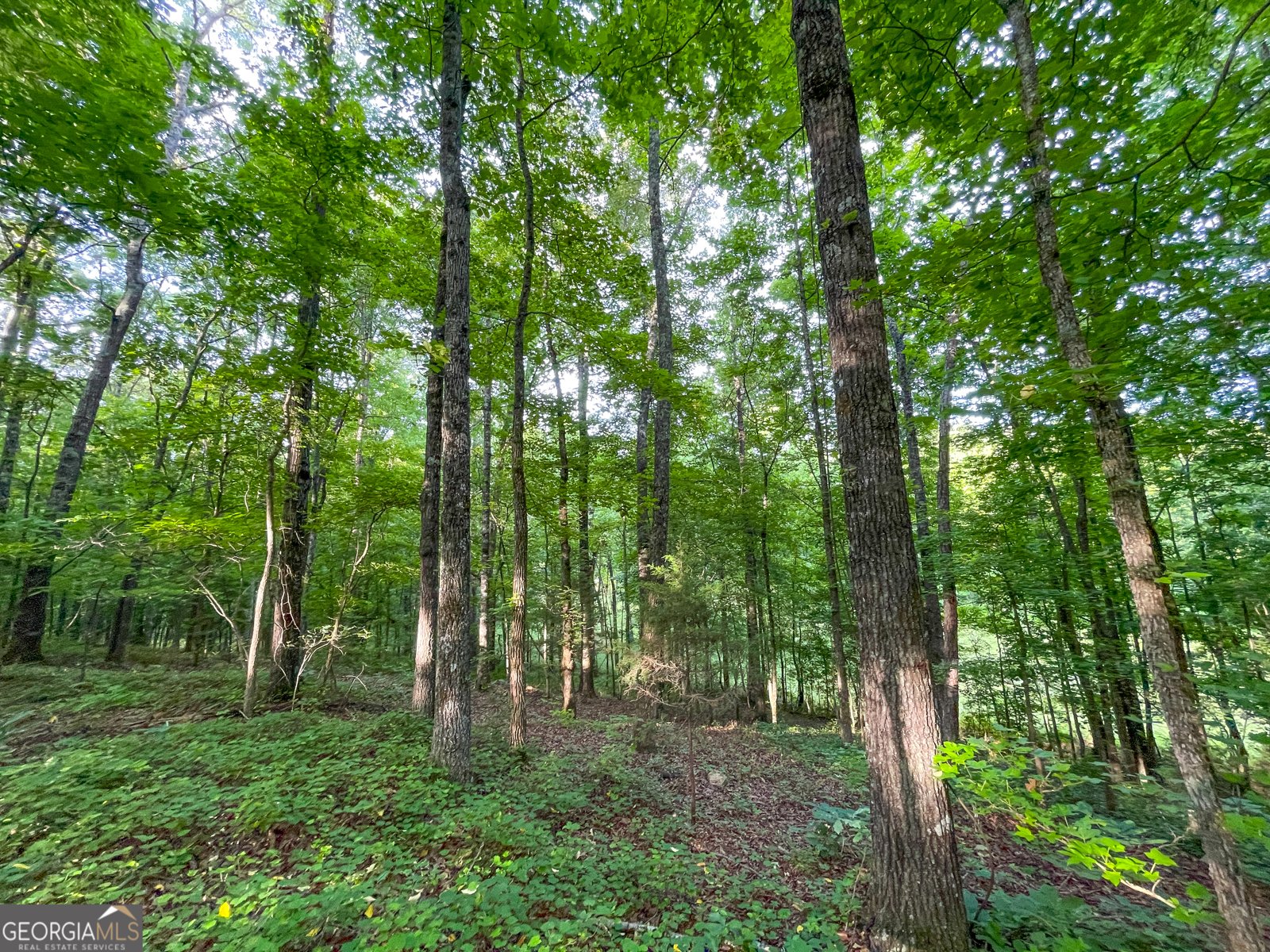 850 Bethel Church Road Silver Creek - Photo 11