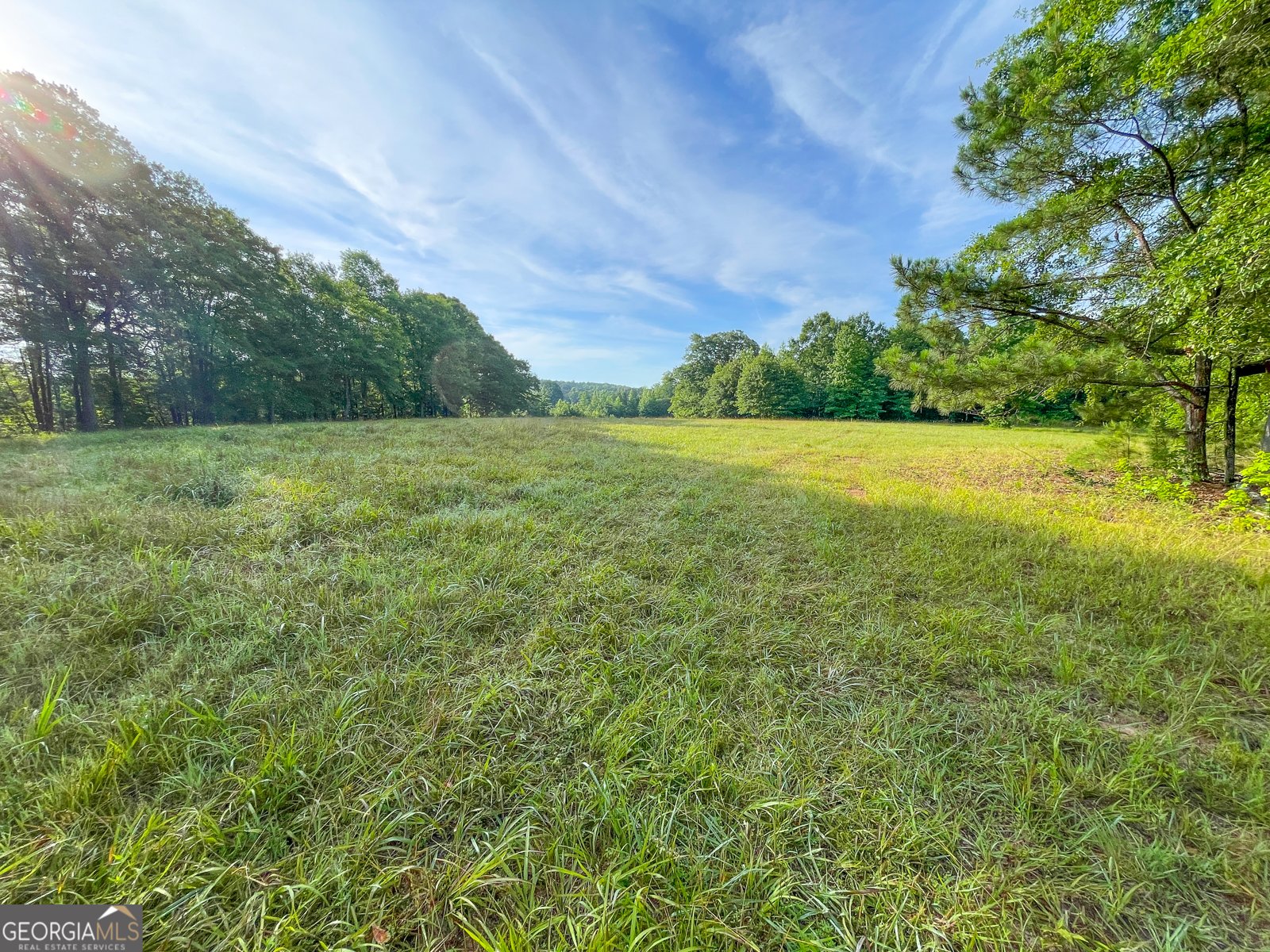 850 Bethel Church Road Silver Creek - Photo 52