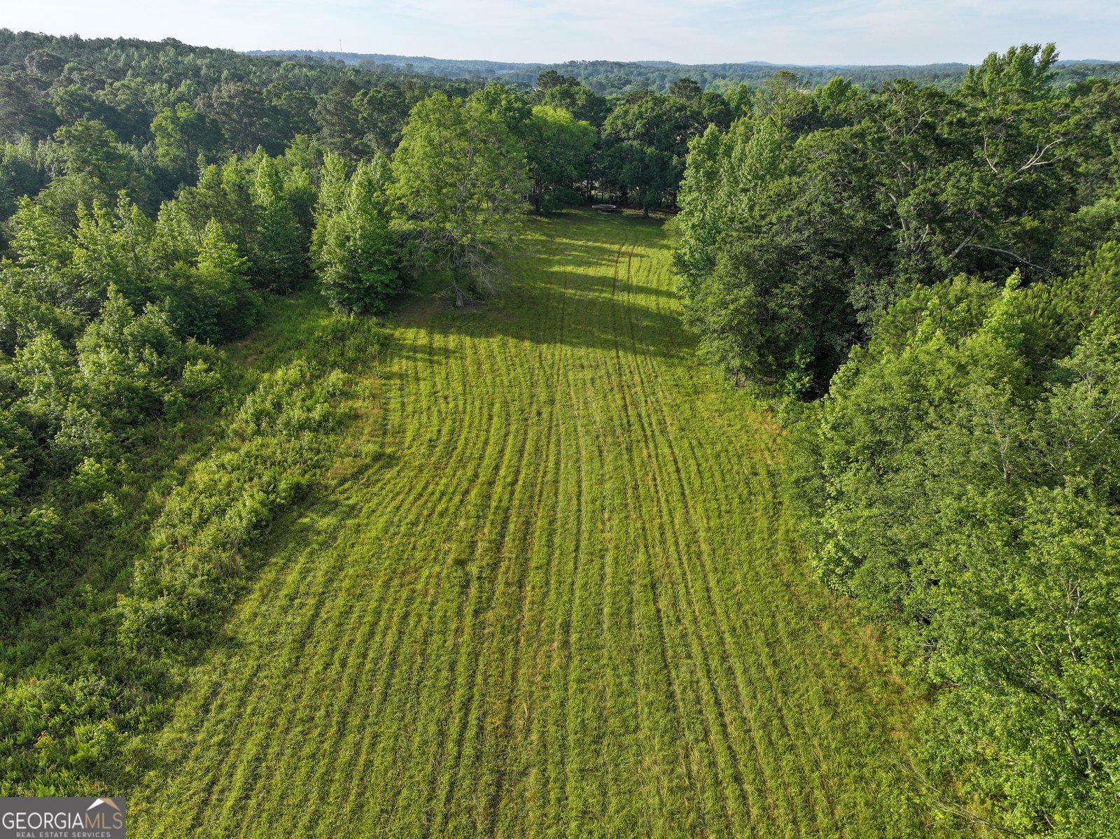 850 Bethel Church Road Silver Creek - Photo 56