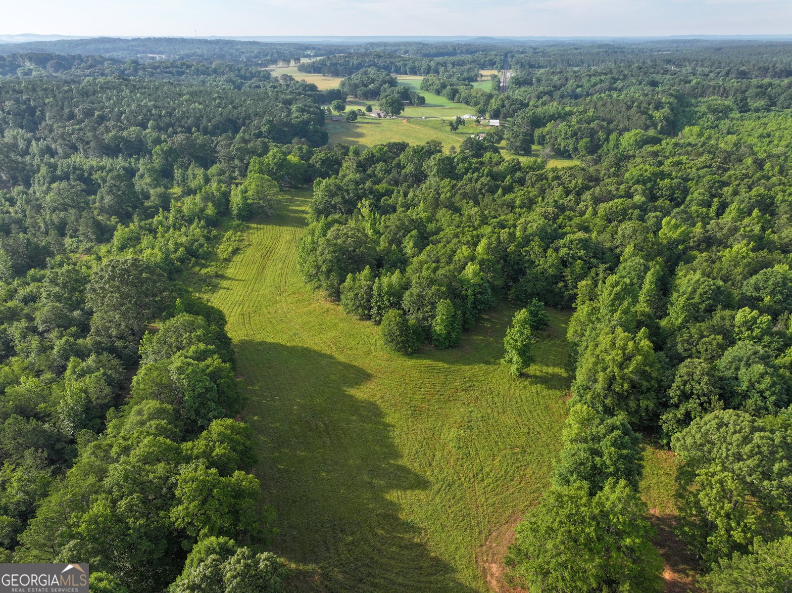 850 Bethel Church Road Silver Creek - Photo 8