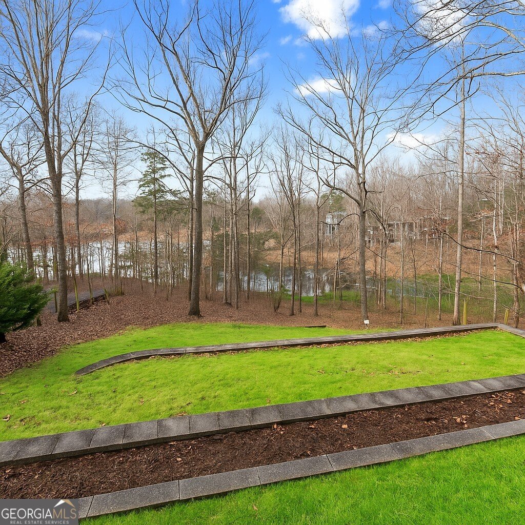 161 Winterhawk Cove Dawsonville - Photo 48
