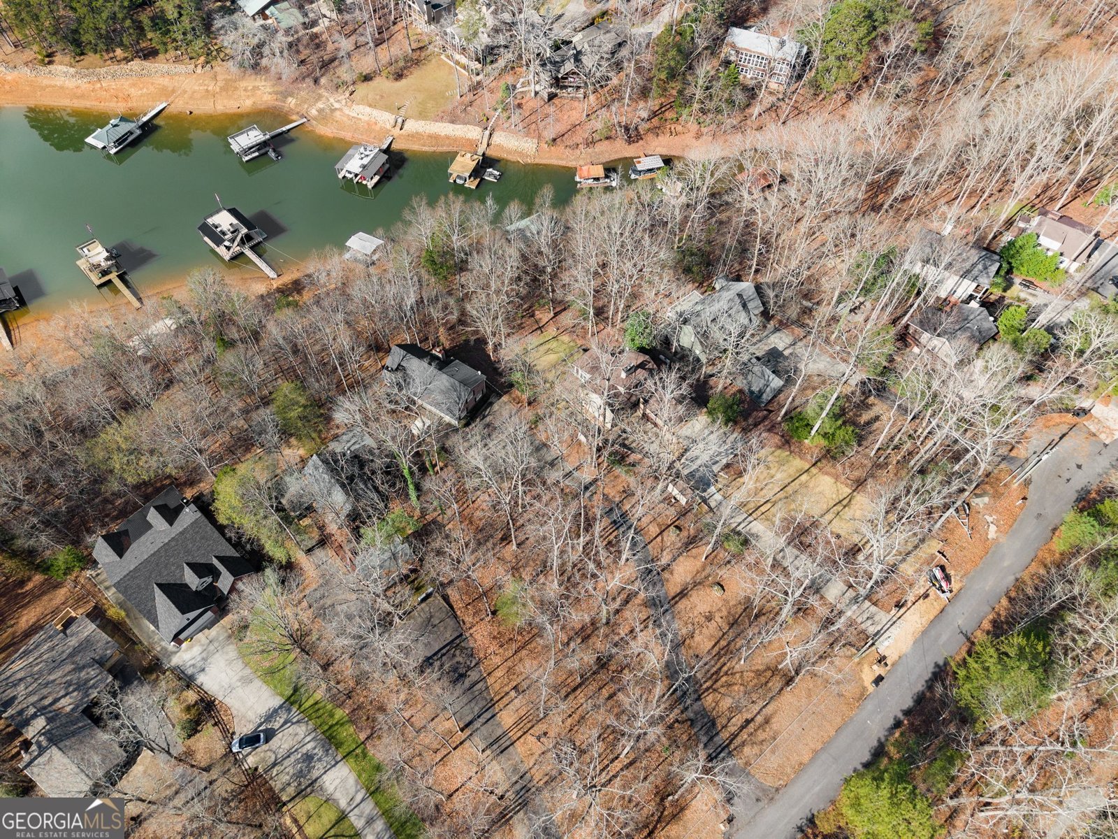 161 Winterhawk Cove Dawsonville - Photo 50
