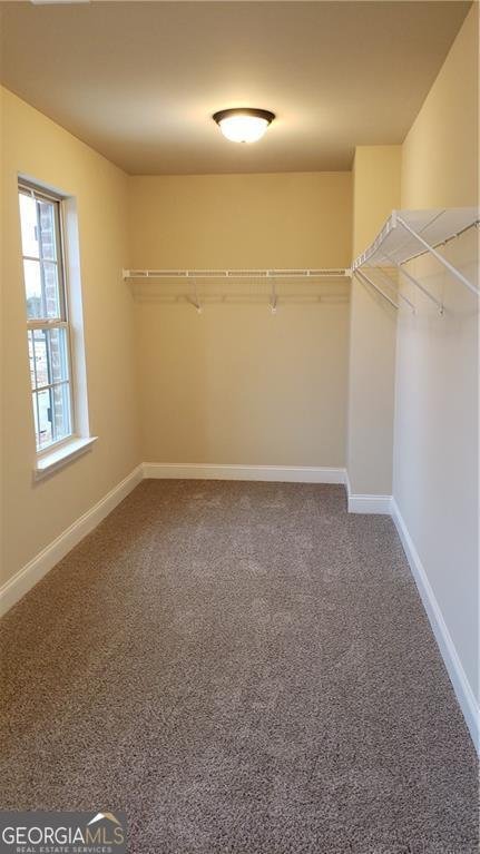 1006 Lakeview Oaks Court Grayson - Photo 20