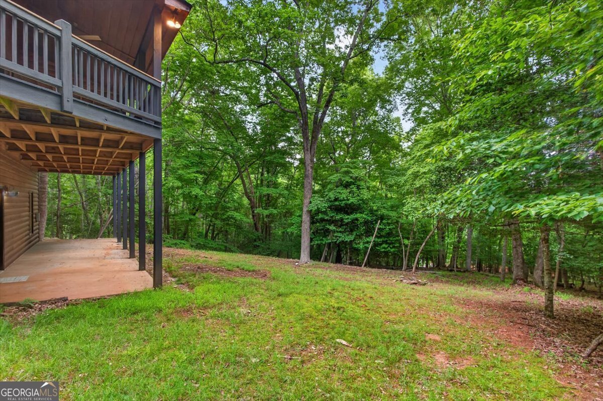 648 Stuart Mountain Road Mineral Bluff - Photo 52
