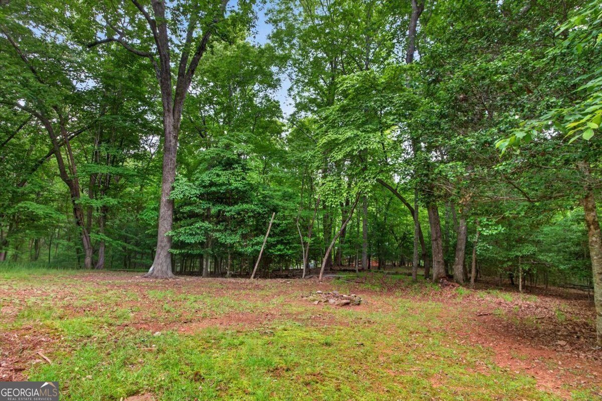 648 Stuart Mountain Road Mineral Bluff - Photo 53