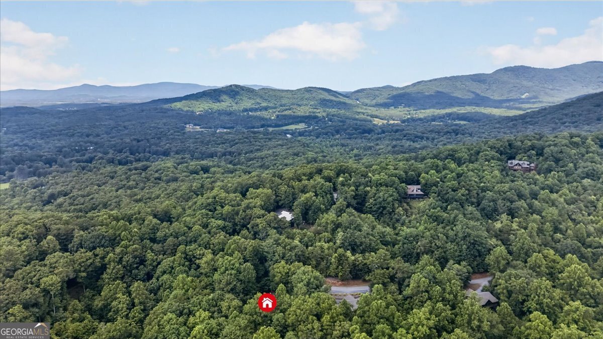 648 Stuart Mountain Road Mineral Bluff - Photo 63