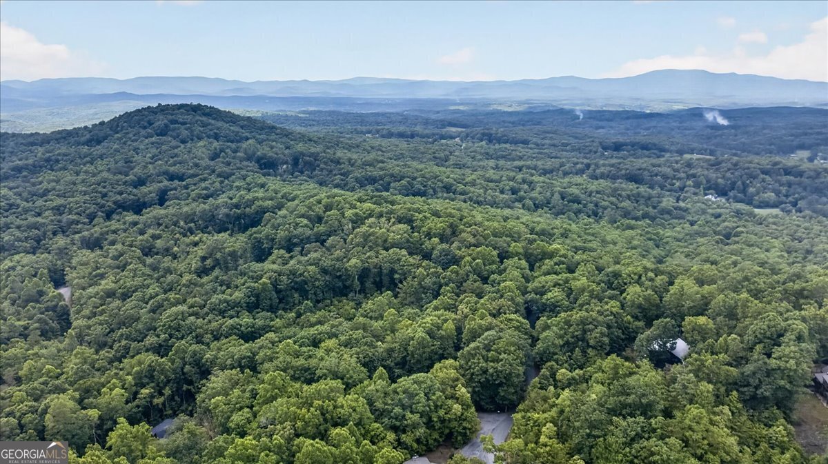 648 Stuart Mountain Road Mineral Bluff - Photo 64