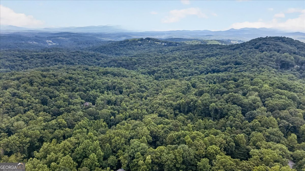 648 Stuart Mountain Road Mineral Bluff - Photo 66