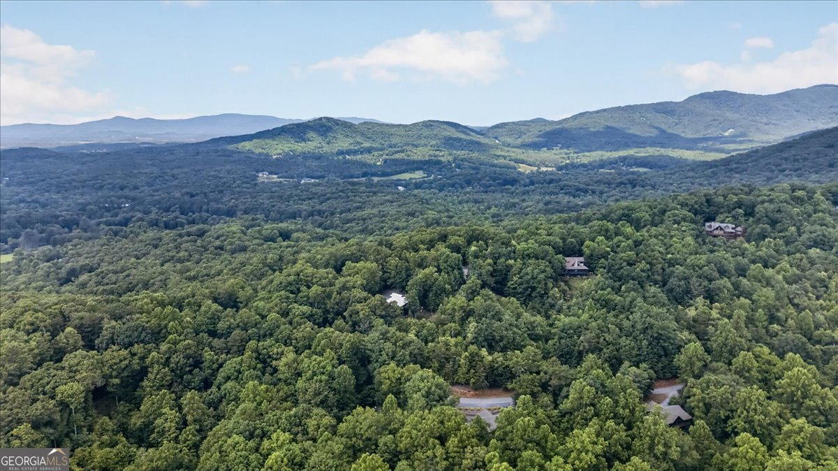 648 Stuart Mountain Road Mineral Bluff - Photo 69